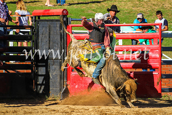 CoomaRodeo2017_9308