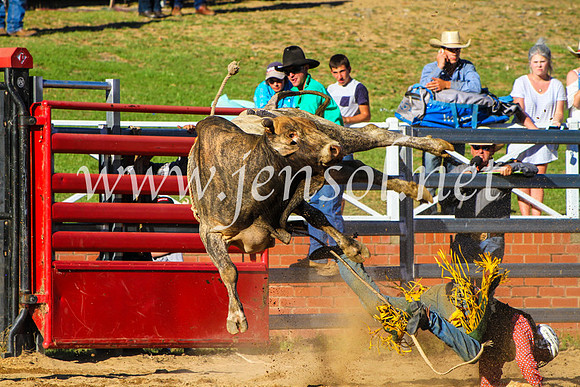 CoomaRodeo2017_9312