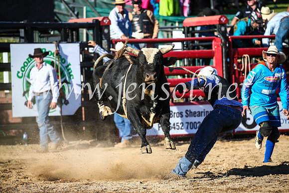 CoomaRodeo2017_2760