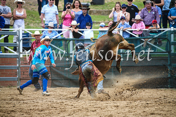 CoomaRodeo2017_1760