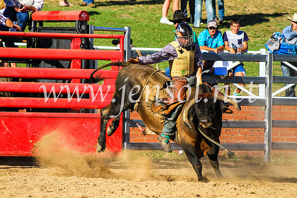 CoomaRodeo2017_9292