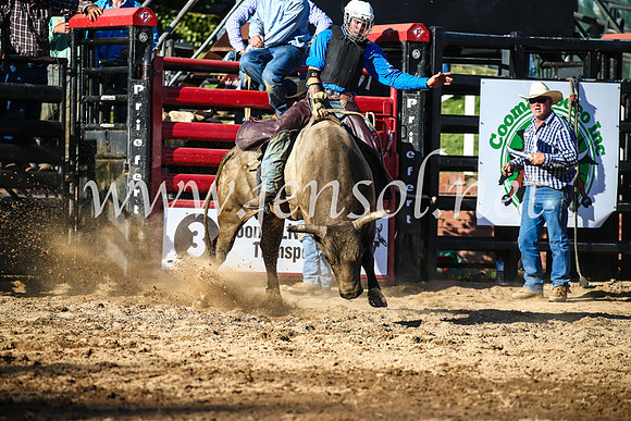 CoomaRodeo2017_2691