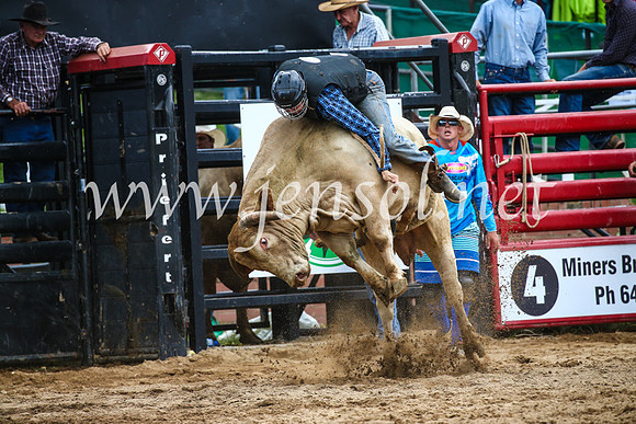 CoomaRodeo2017_1829