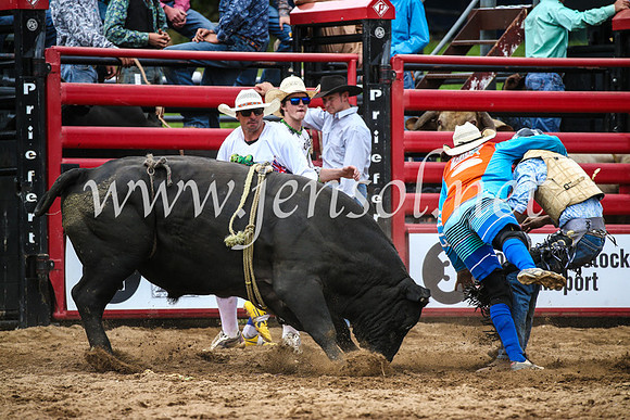 CoomaRodeo2017_1717