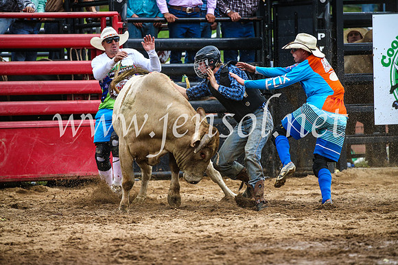 CoomaRodeo2017_1856