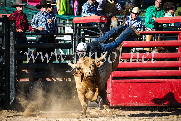 CoomaRodeo2017_2517