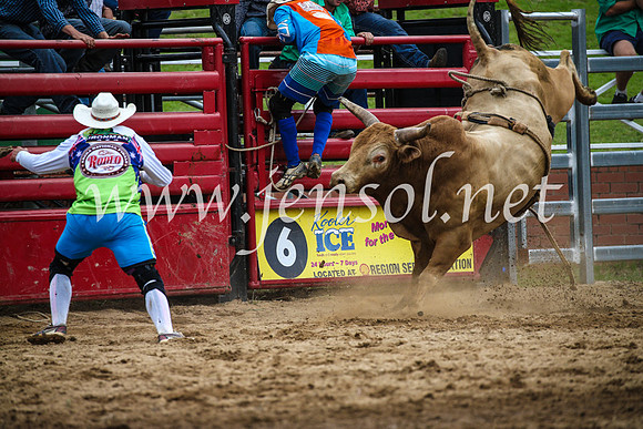 CoomaRodeo2017_1813