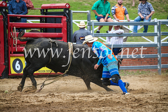 CoomaRodeo2017_1728