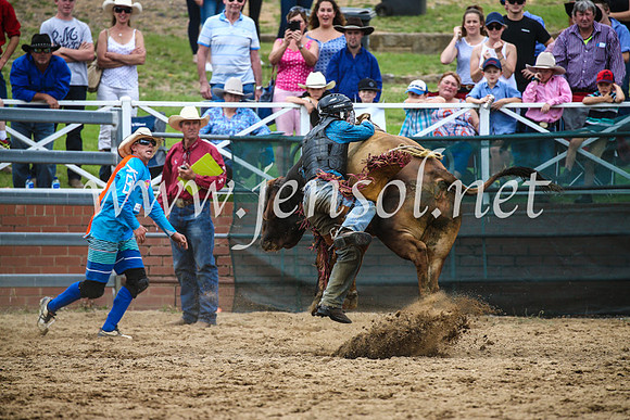 CoomaRodeo2017_1755