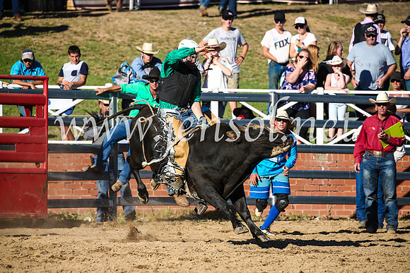 CoomaRodeo2017_2778