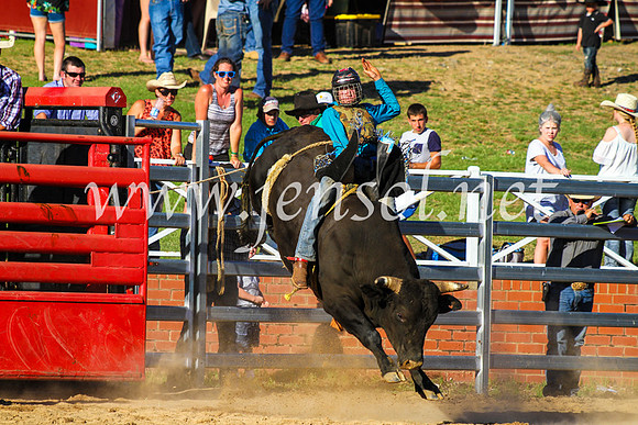 CoomaRodeo2017_9362