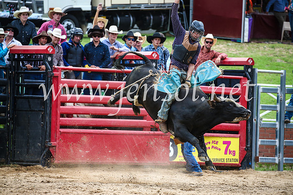 CoomaRodeo2017_1513