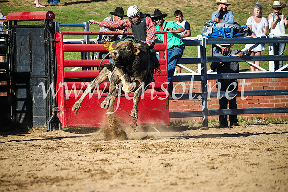 CoomaRodeo2017_2610