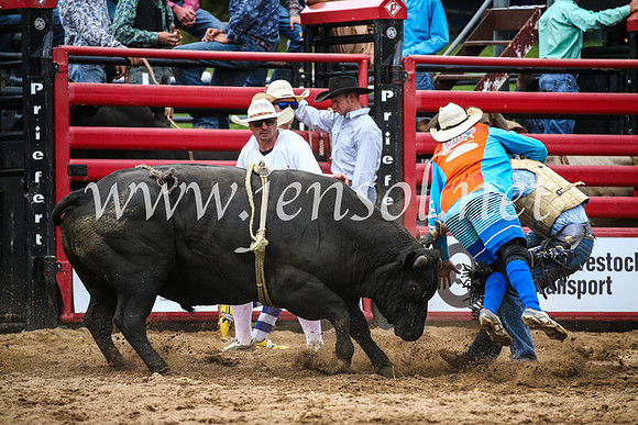 CoomaRodeo2017_1716
