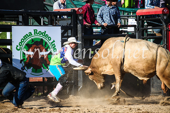 CoomaRodeo2017_2535