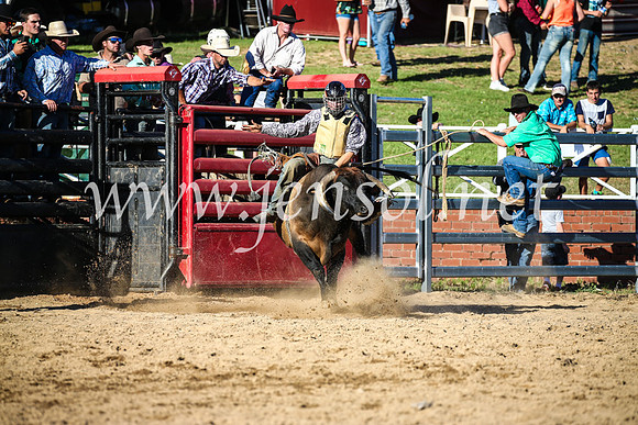 CoomaRodeo2017_2555