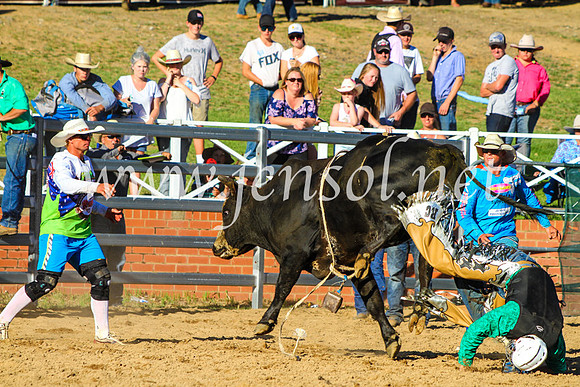 CoomaRodeo2017_9353