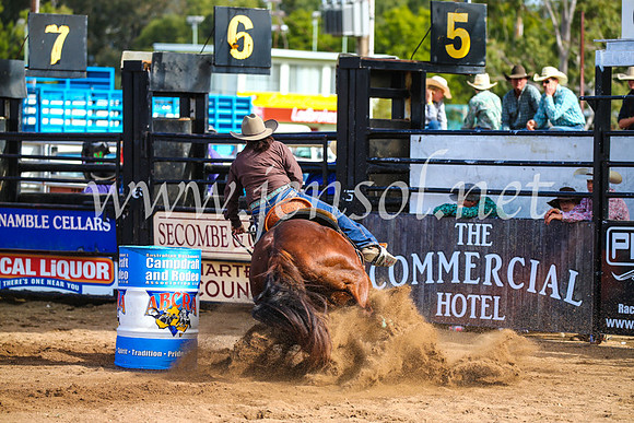 CoonambleRodeoCampdraftSun_3650