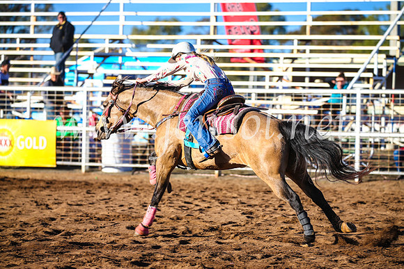 CoonambleRodeoCampdraftSun_1689