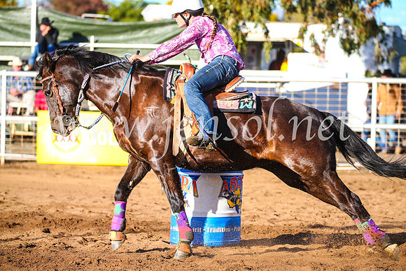 CoonambleRodeoCampdraftSun_1726