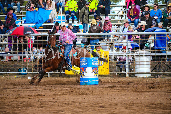 CoonambleRodeoCampdraftSun_3775