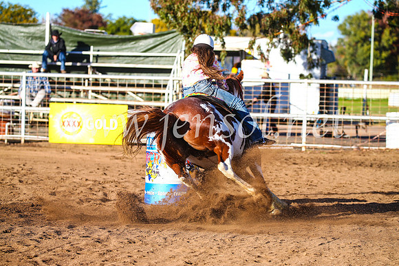 CoonambleRodeoCampdraftSun_1607