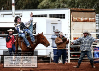 LakeCargelligo2018_1071