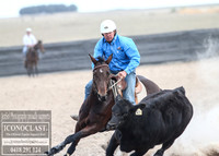 GoulburnCampdraft2018_1393