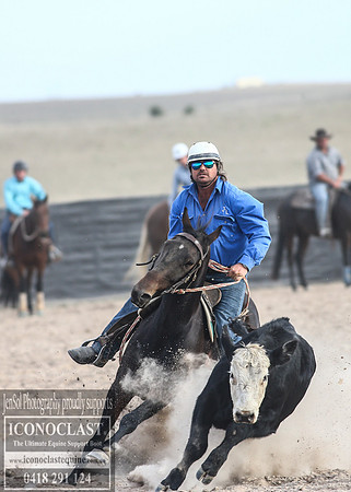 GoulburnCampdraft2018_1937