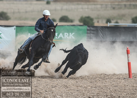 GoulburnCampdraft2018_1720