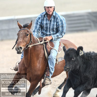 GoulburnCampdraft2018_1579