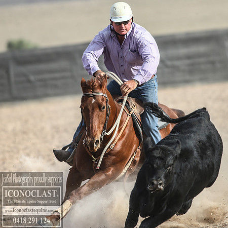 GoulburnCampdraft2018_1590