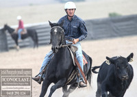 GoulburnCampdraft2018_1435