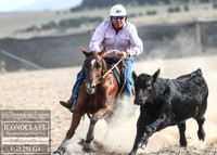 GoulburnCampdraft2018_1359