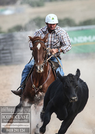 GoulburnCampdraft2018_1677