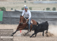 GoulburnCampdraft2018_1423