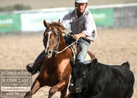 GoulburnCampdraft2018_1600