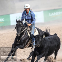 GoulburnCampdraft2018_1637
