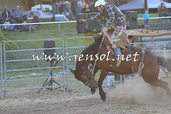 MossVale2015_2773