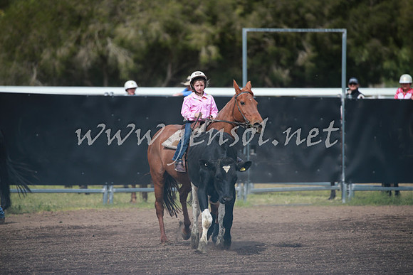 CowraCampdraft_1042