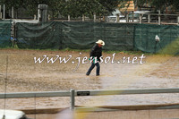 CoomaRodeo2015_3341