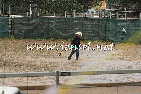CoomaRodeo2015_3341