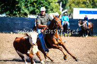 GundagaiCampdraft2017_0056