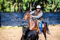 GundagaiCampdraft2017_0004