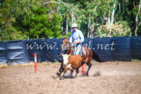 GundagaiCampdraft2017_0087