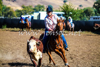 GundagaiCampdraft2017_0072