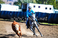 GundagaiCampdraft2017_0106