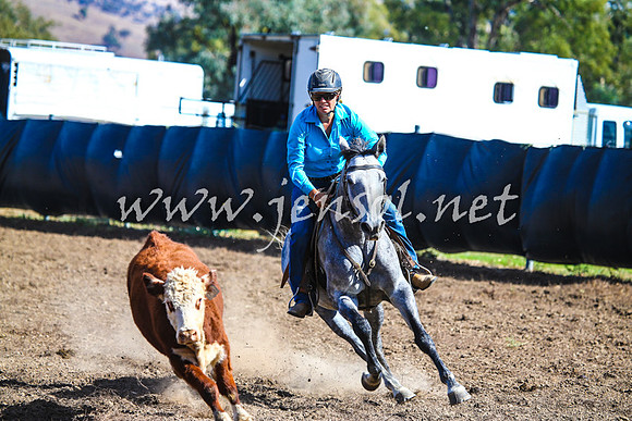 GundagaiCampdraft2017_0106