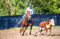 GundagaiCampdraft2017_0028