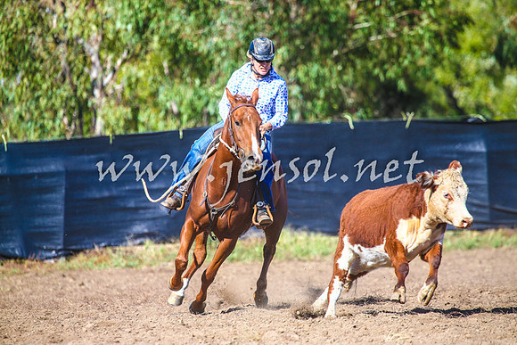GundagaiCampdraft2017_0028